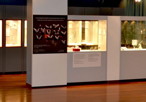 TEMPORARY EXHIBITION SPACE